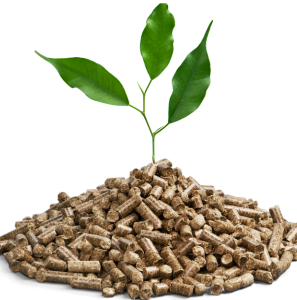 Biomass Pellets