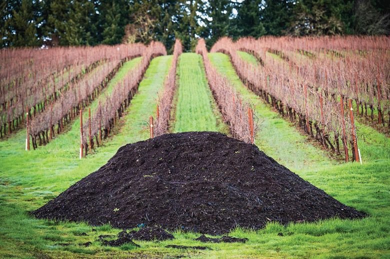 Compost Manure